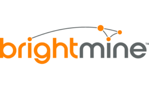 Brightmine logo Brightmine logo