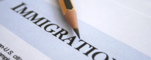 No visas for low-skilled workers forces businesses to 'invest in retention and productivity'