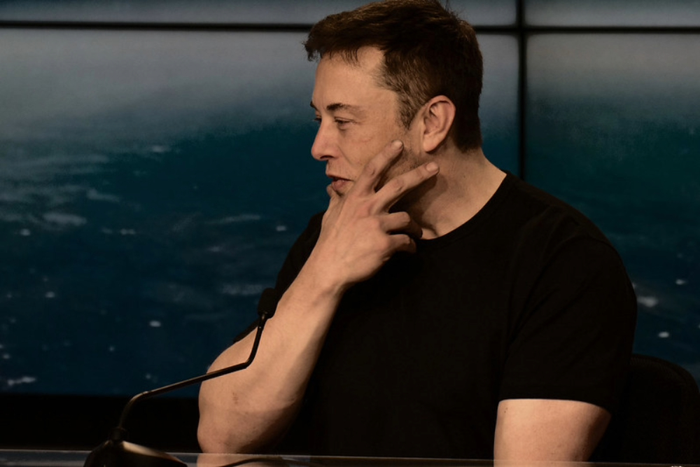 Musk Flikr