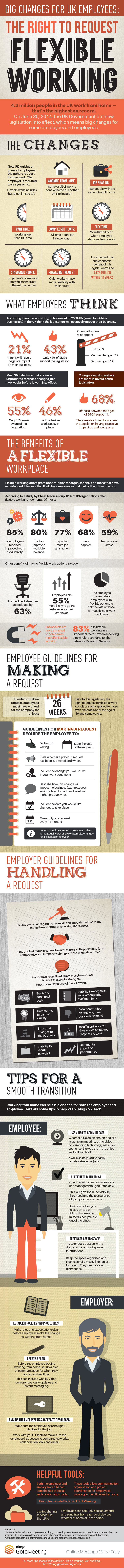 Working From Home Infographic