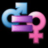 gender-equality
