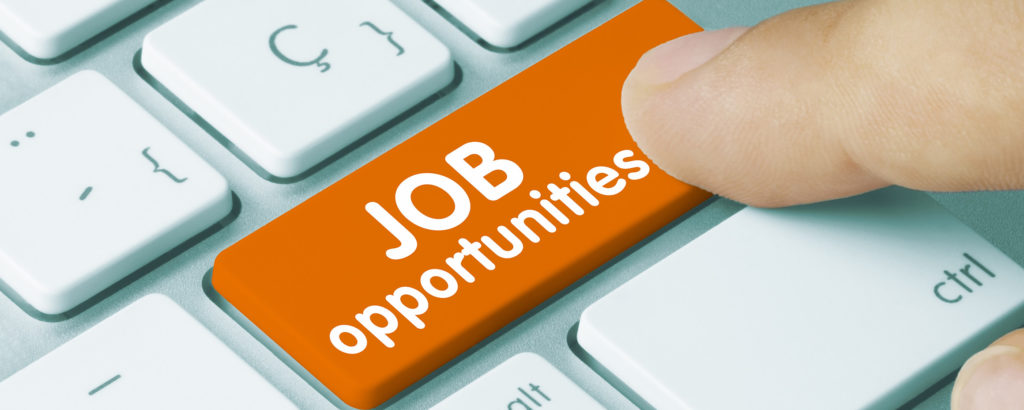 employment figures reach record high