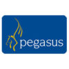 pegasussoftware