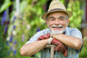 shutterstock_106616108