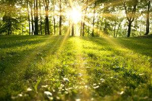 shutterstock_130197554