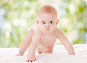 shutterstock_135379799