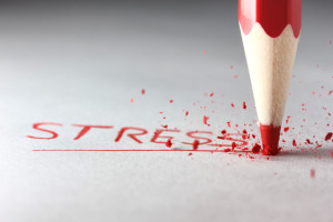shutterstock_94267417
