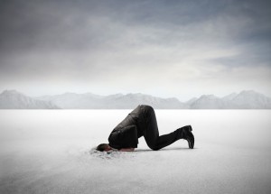 shutterstock_95386021