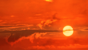 Top five ways you can help employees stay productive during the heatwave